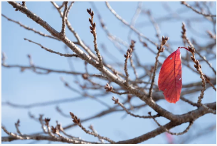 急な冷え込み、風邪を引かない方法【風邪予防】