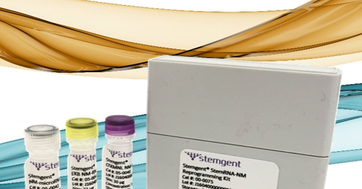 【ココリーナ】リニューアル品Ai Révo STEM CELL 10ml 第三世代RNAリプログラミング試薬（線維芽細胞・尿用） StemRNA-3rd