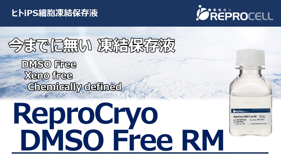 DMSO Free