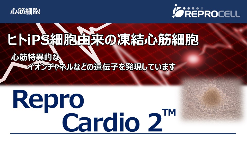 ReproCardio 2