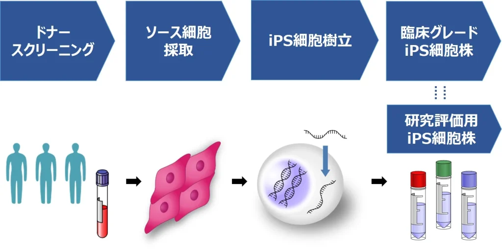 臨床グレードiPS細胞作製の概要図