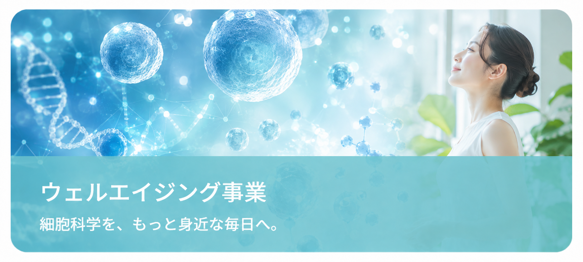 グルたまエイジング 特設ページへ