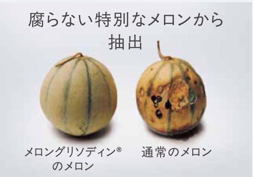 腐らない特別なメロンから抽出（メロングリソディンのメロンと通常のメロンの比較）